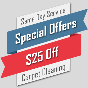 special cleaning offers